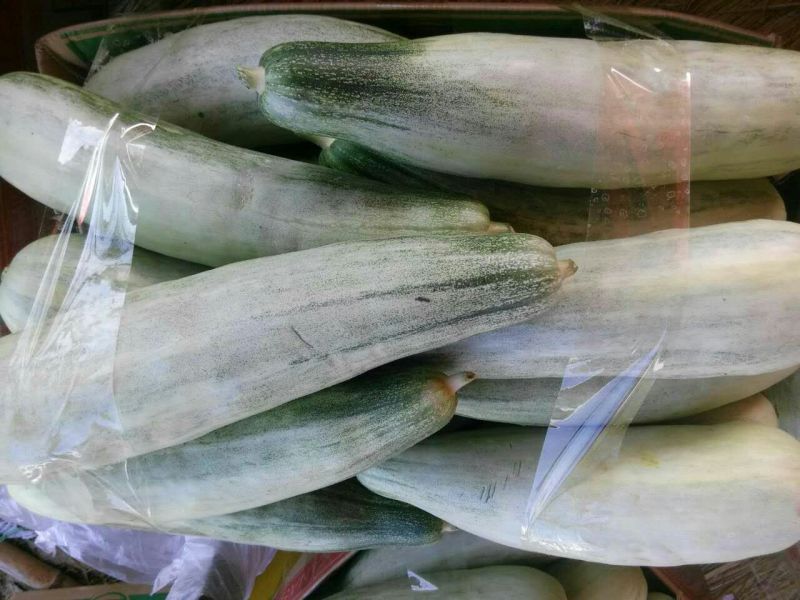 羊角脆甜瓜0.5斤以上