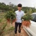 牛大力种苗15cm以下