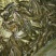 胡子鲶食用