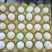 土鸡蛋食用50g以下