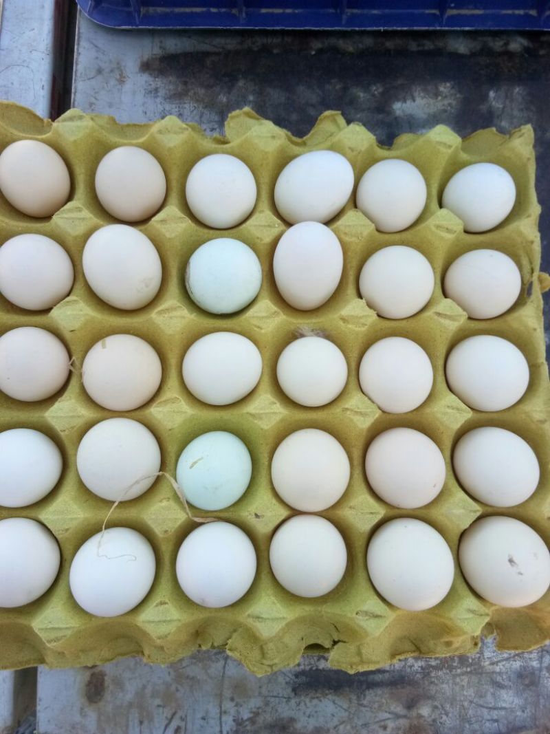 土鸡蛋食用50g以下