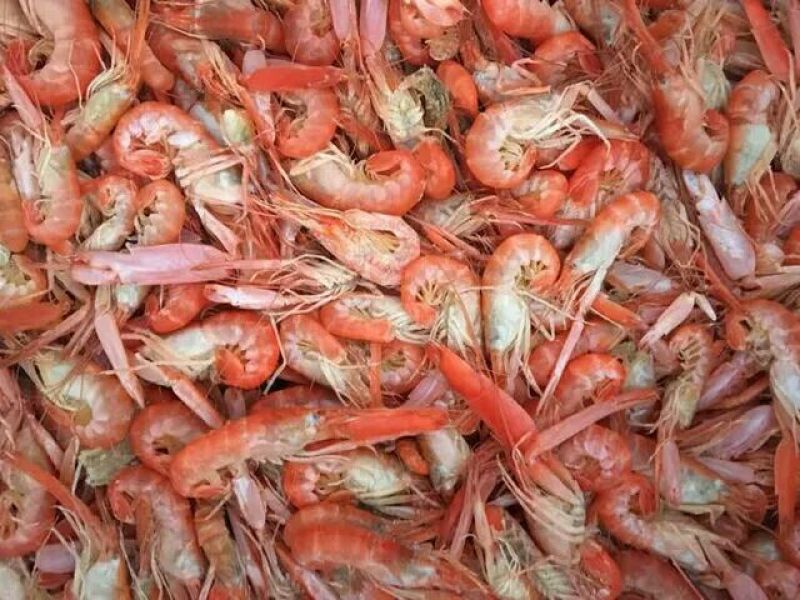 红虾食用冻虾