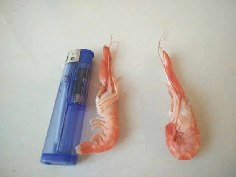 红虾食用冻虾