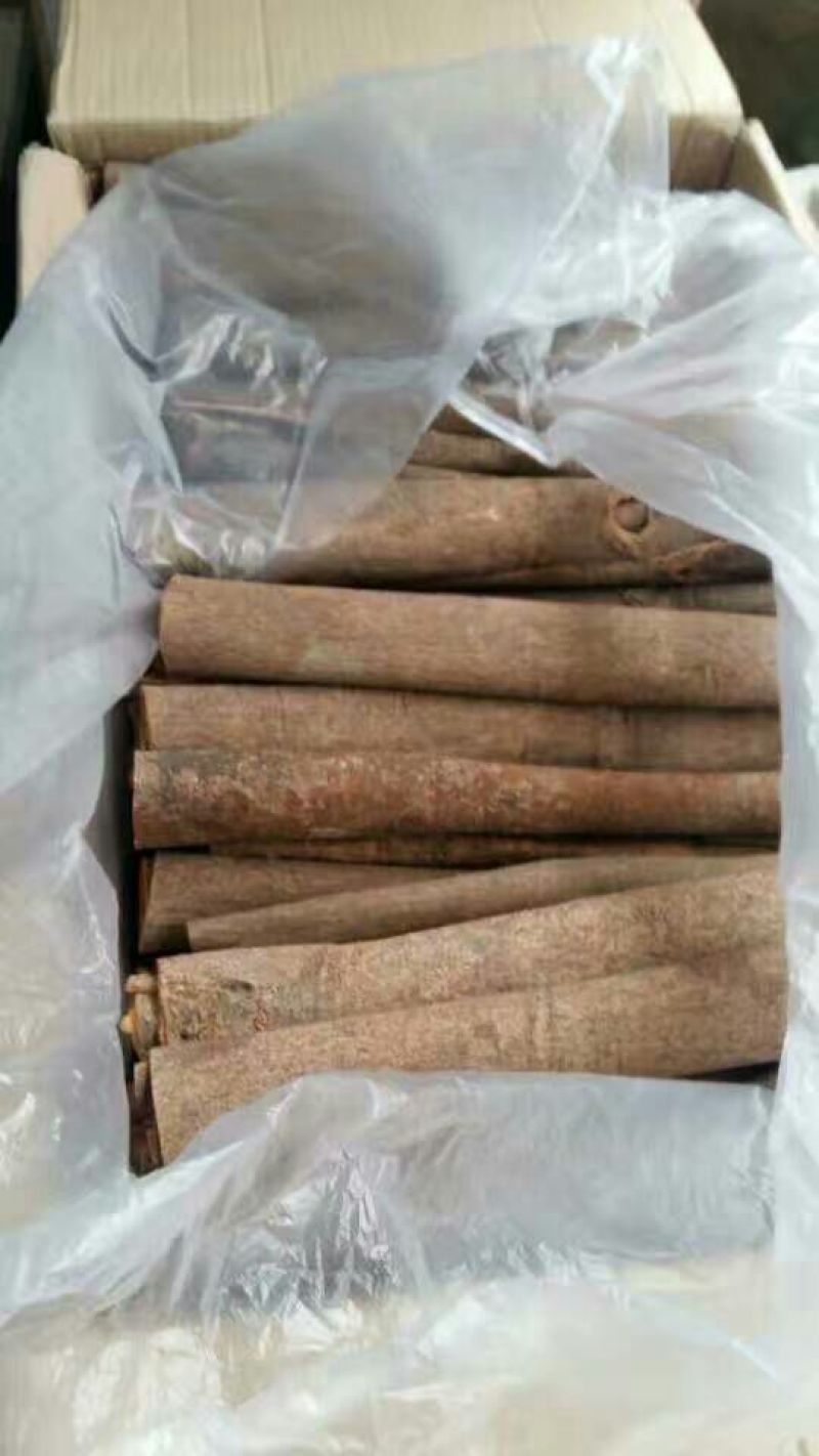 桂皮散装中通