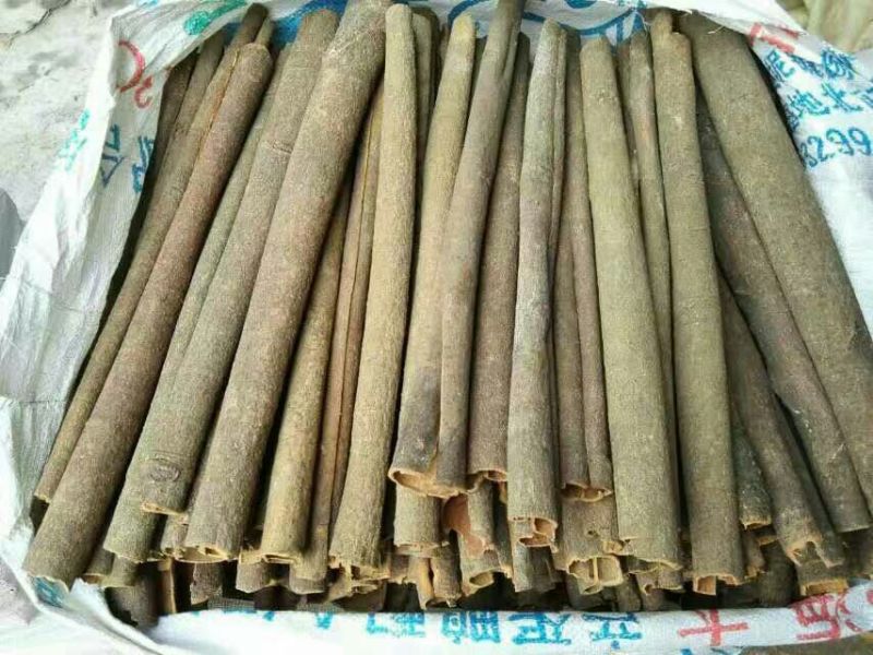 桂皮散装中通