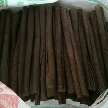 桂皮散装中通