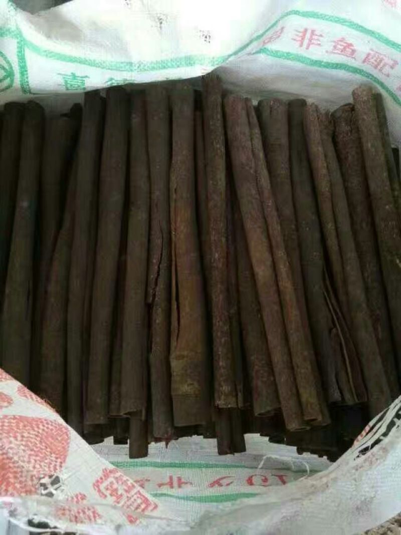 桂皮散装中通
