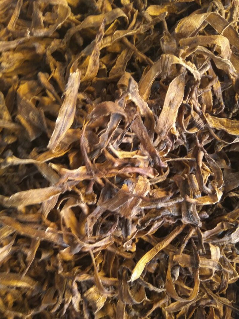 无硫地龙半开全开各种规格中药材新货