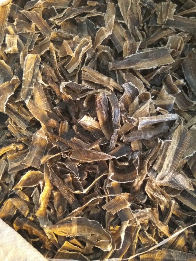 无硫地龙半开全开各种规格中药材新货