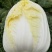 大娃娃菜1斤以上，没有开花没有虫