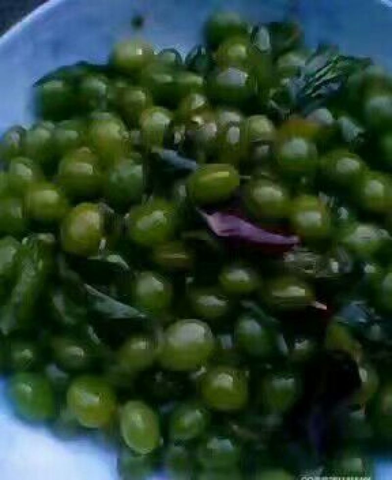 银杏果