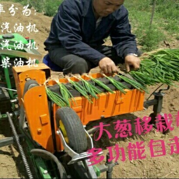 移栽机单垄单行