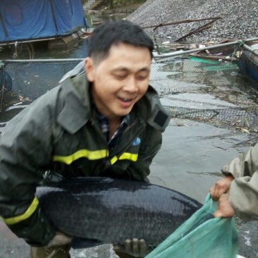 青鱼食用活鱼