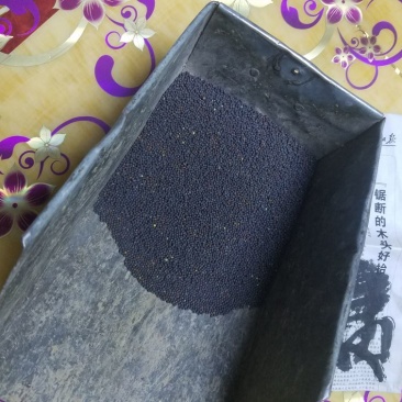 油菜籽1