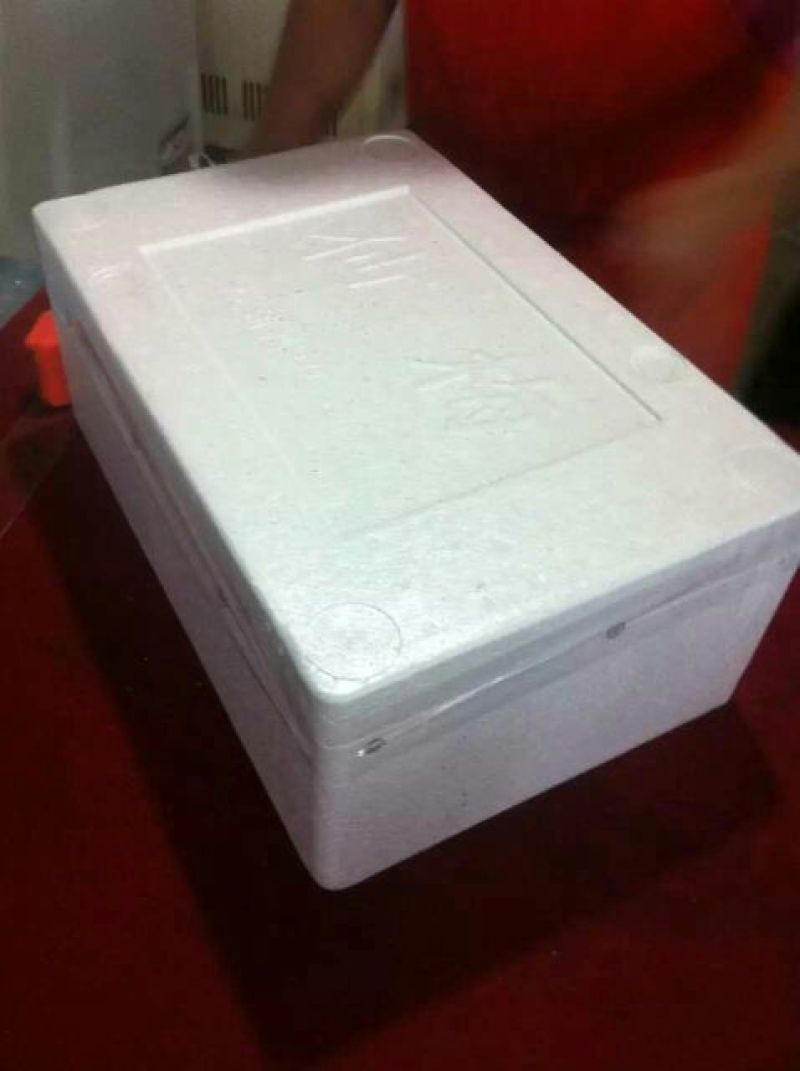杨梅4~5cm