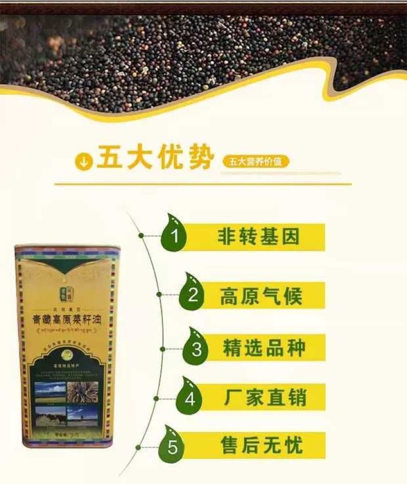 压榨菜籽油四级