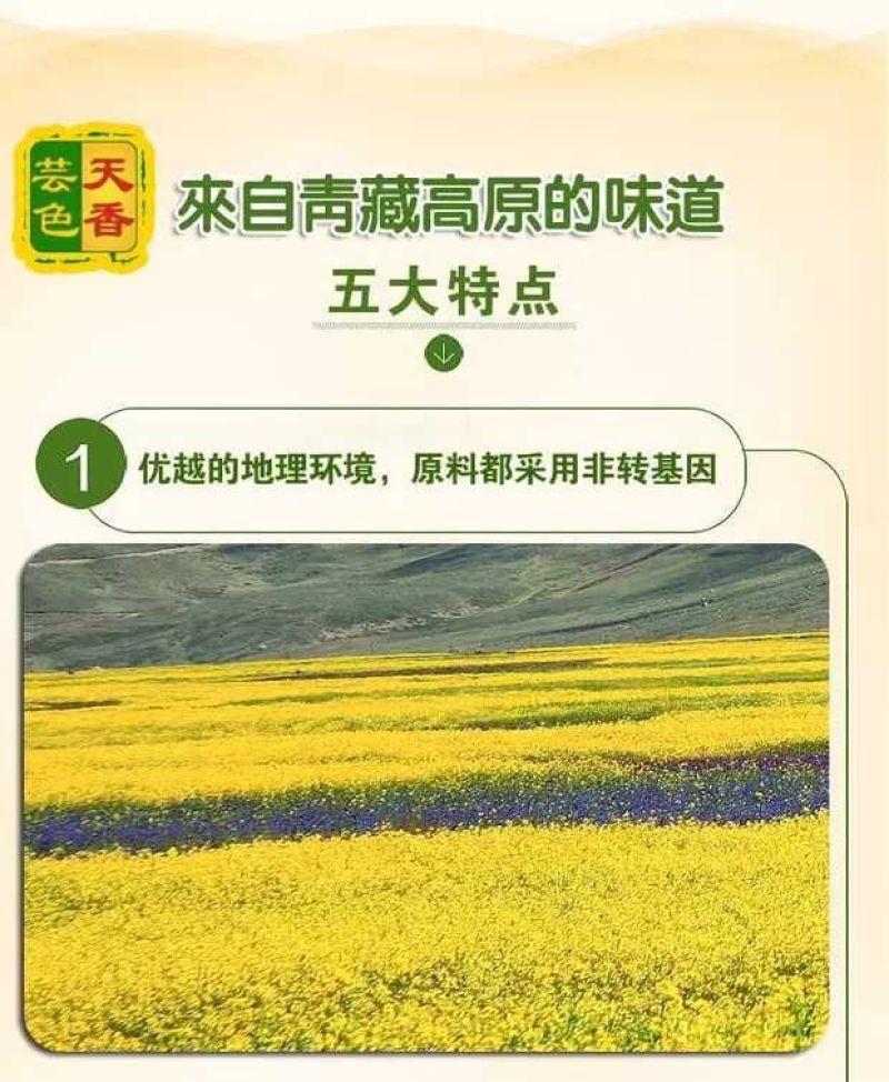 压榨菜籽油四级