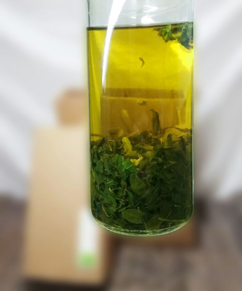 辣木茶特级