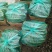 德瑞特72125公分以上鲜花带刺