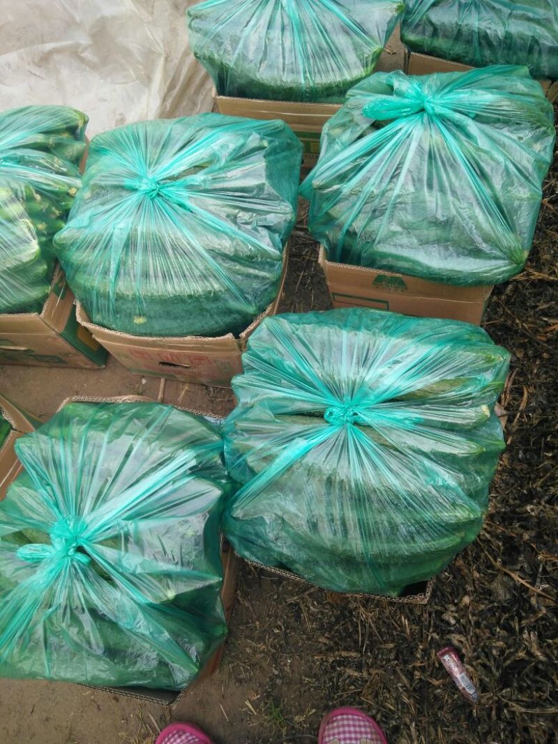 德瑞特72125公分以上鲜花带刺