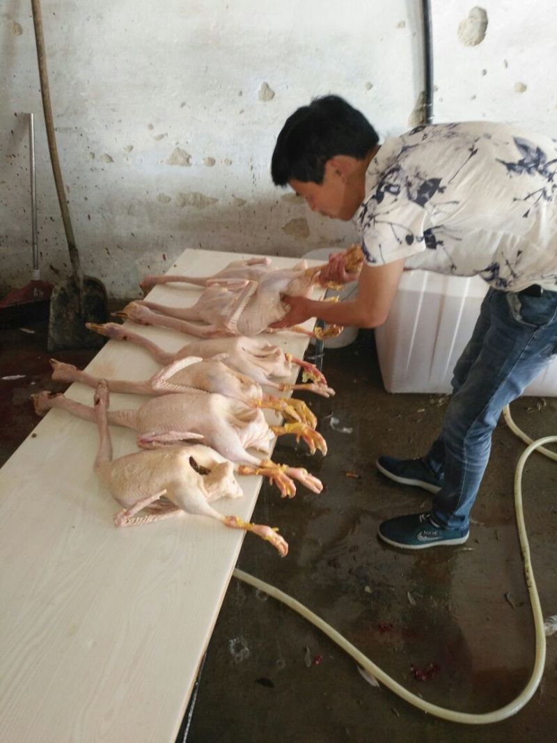 鹅肉散装