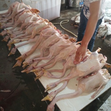 鹅肉散装