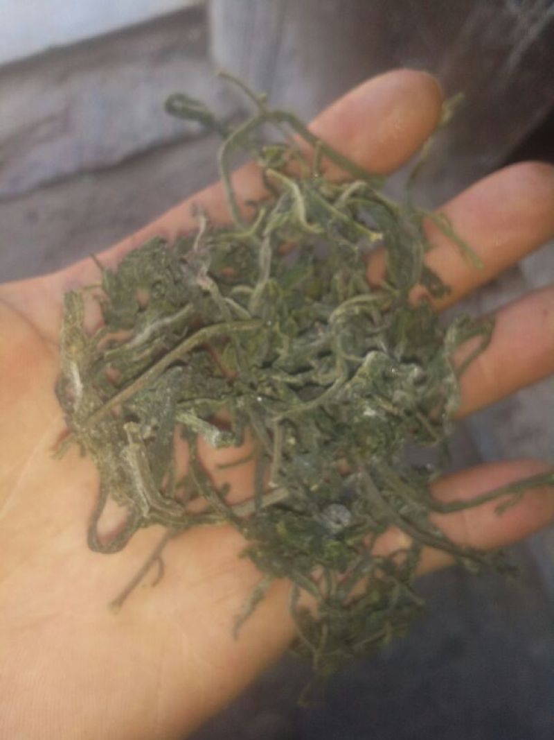 襄阳干香椿嫩芽2022年头茌香椿芽包邮野菜