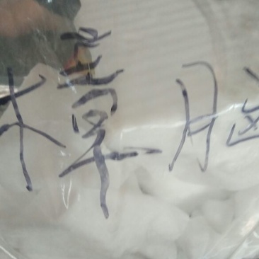 樟脑各种中药材批发质量保证产地直销