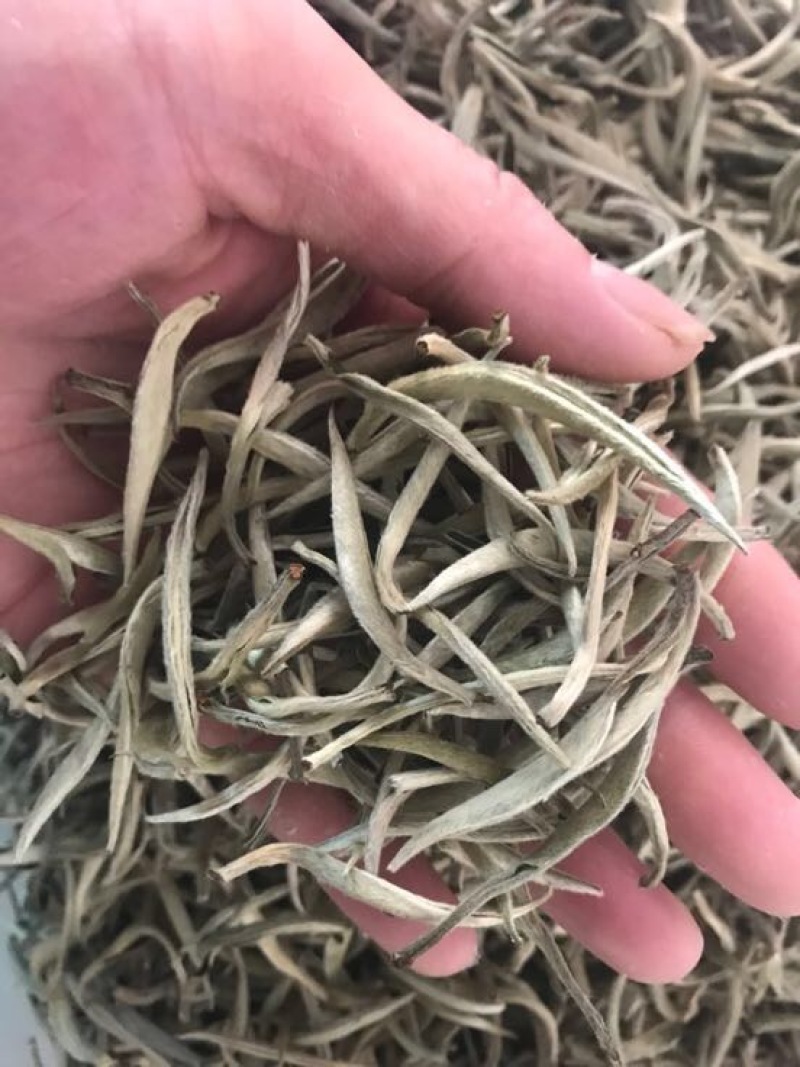 普洱茶