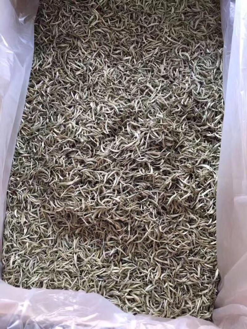 普洱茶