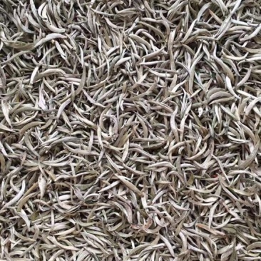 普洱茶