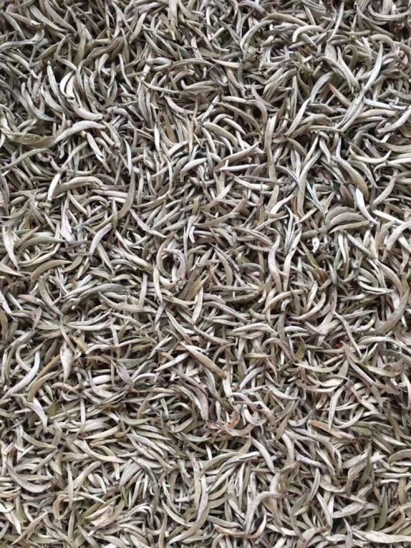 普洱茶