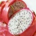 红心火龙果苗20~30成苗