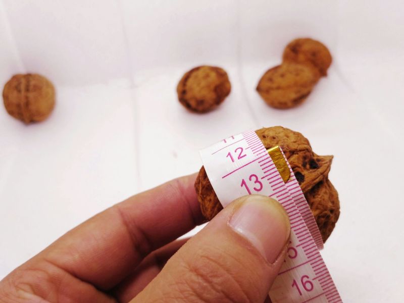 薄皮核桃手捏碎醇香老品种