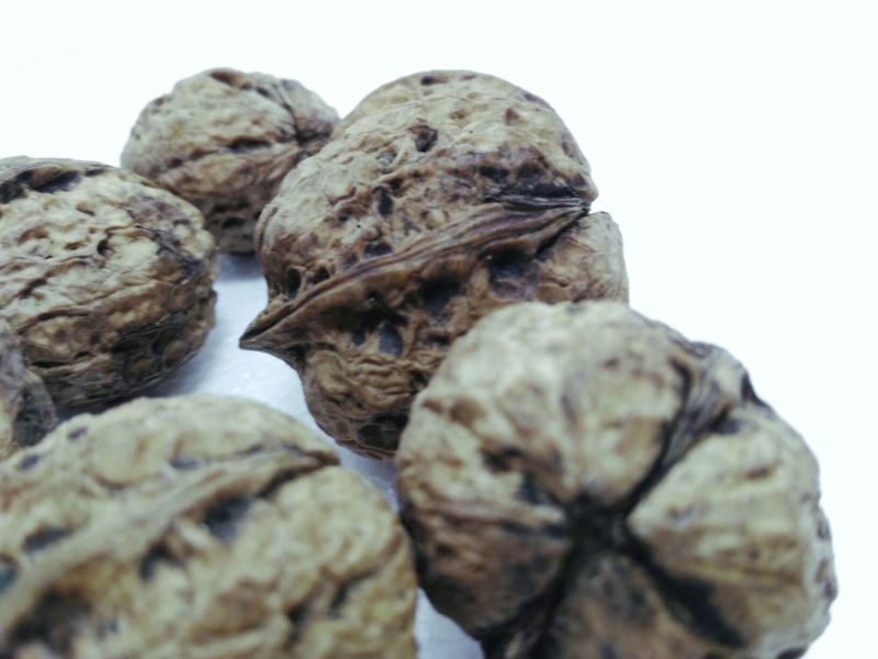 薄皮核桃手捏碎醇香老品种