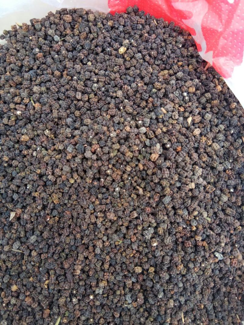 虫茶