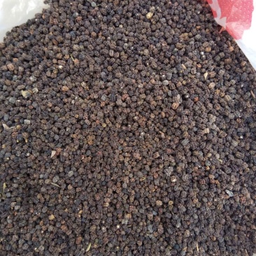 虫茶