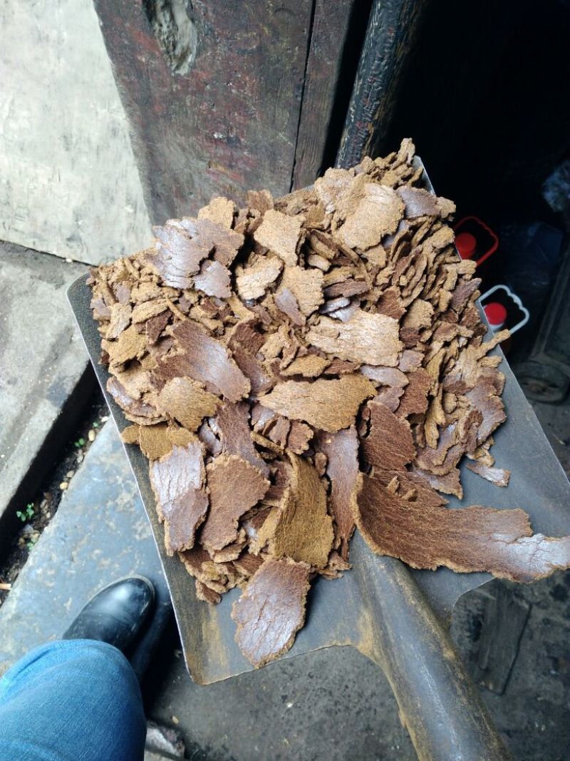 小榨菜籽饼黄饼水分干质量好
