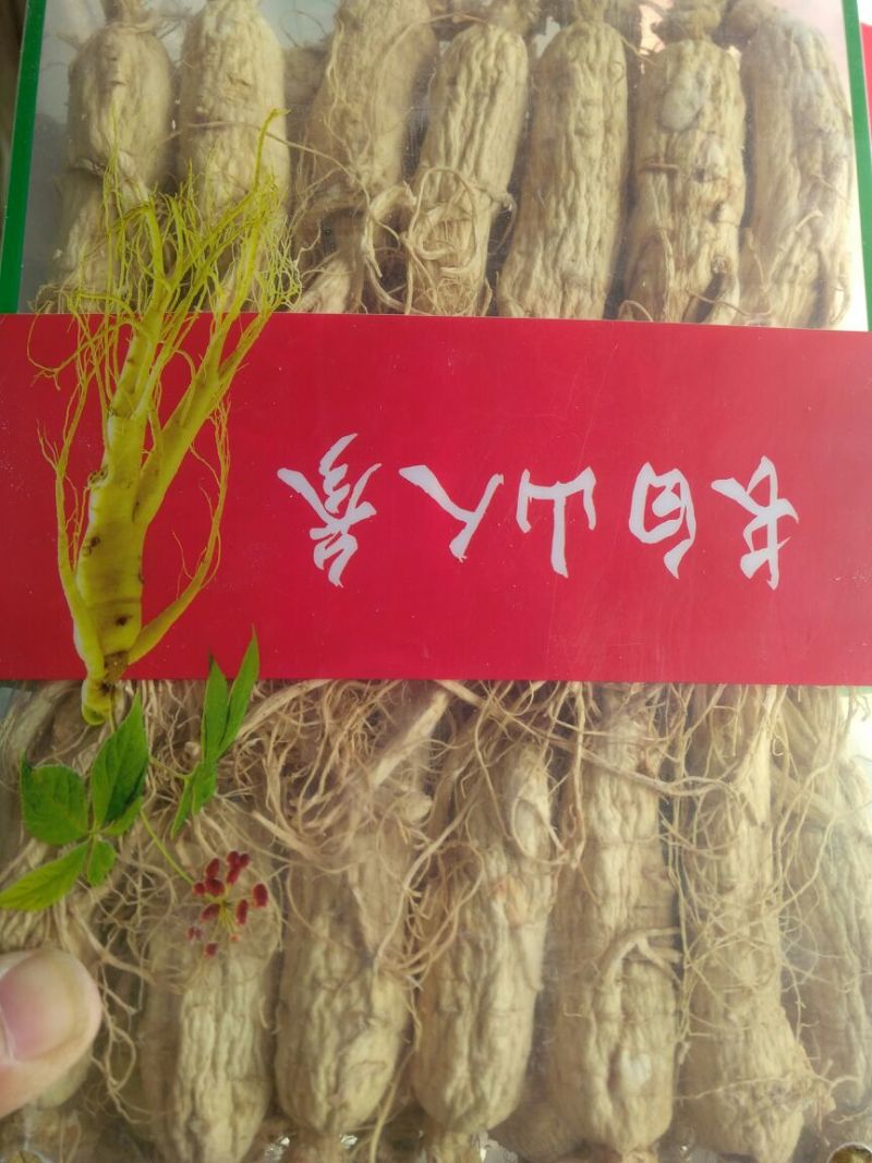吉林人参东北干货一斤起包邮量大从优