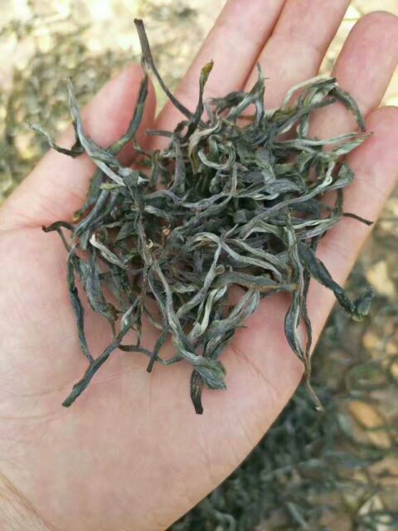 普洱茶二级