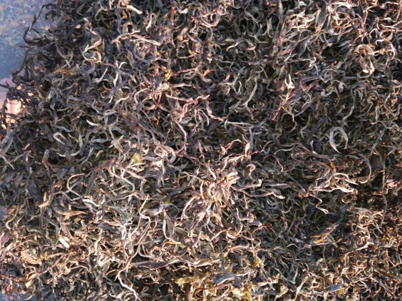 古树普洱茶一级