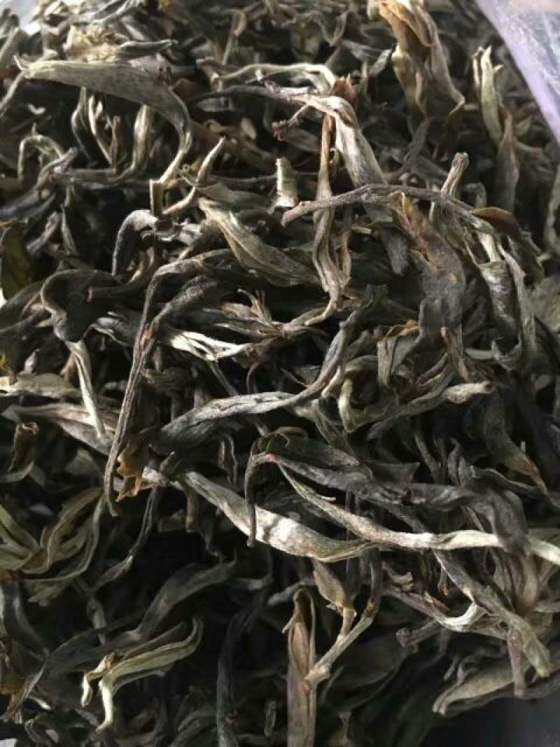古树普洱茶一级