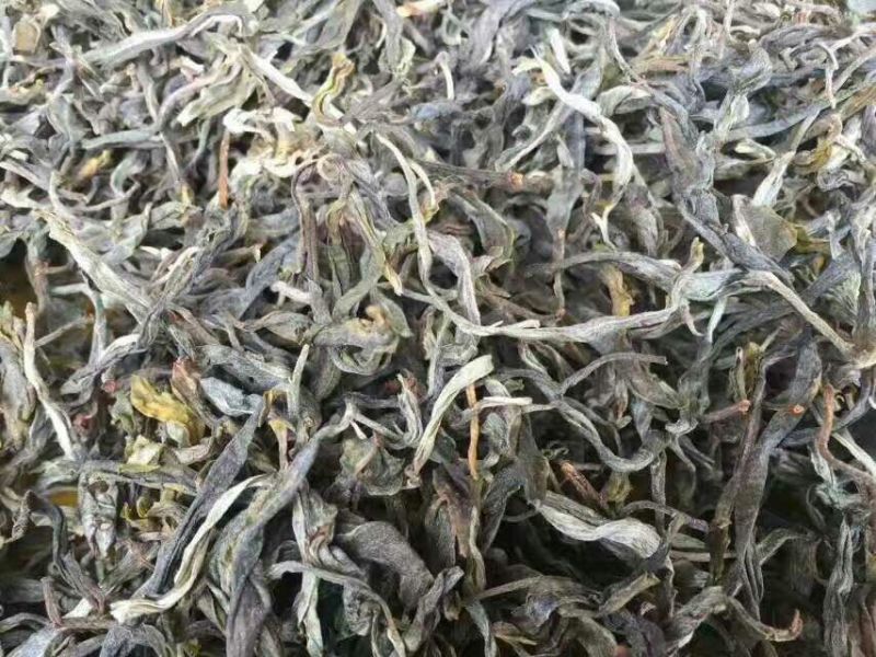 古树普洱茶一级