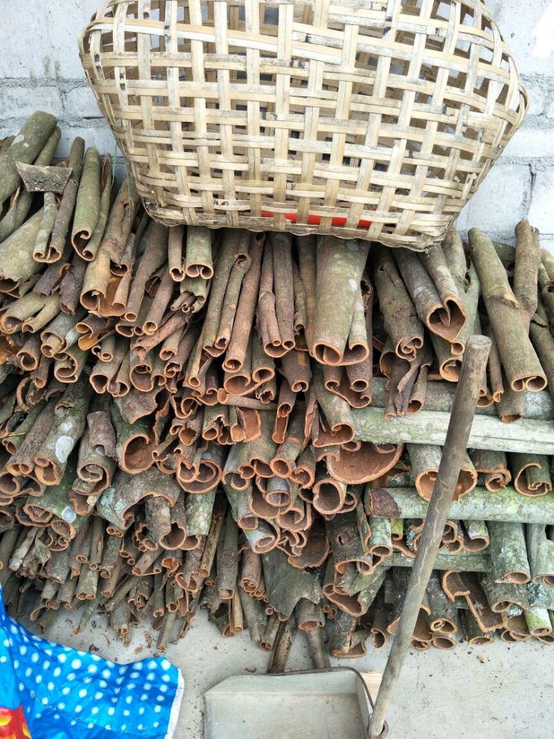桂皮散装统货