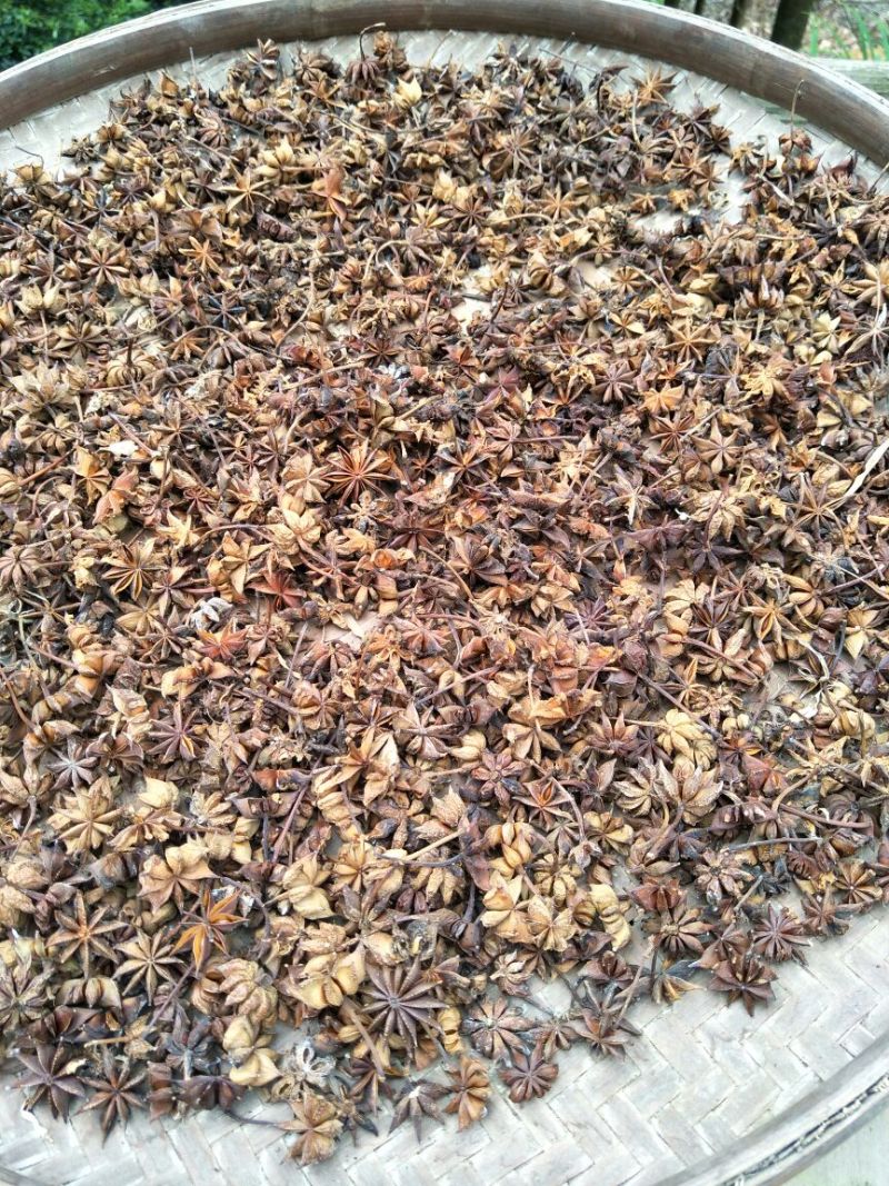 桂皮散装统货