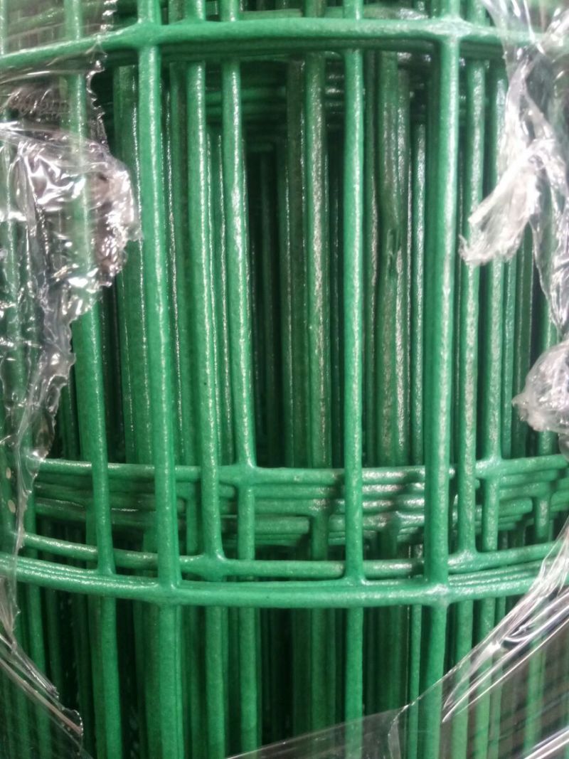 荷兰网养殖网，果园围网