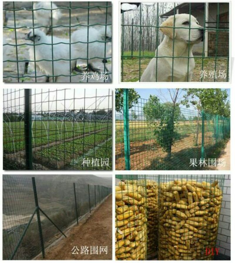 荷兰网养殖网，果园围网