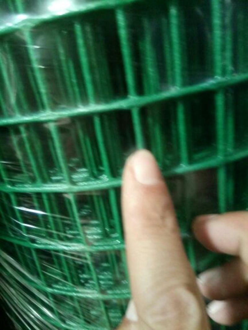 荷兰网养殖网，果园围网