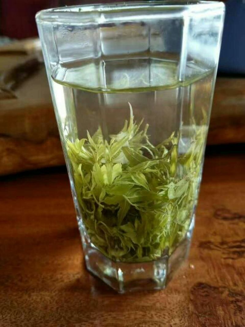 藤茶一级