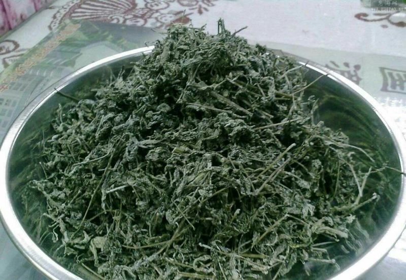 藤茶一级